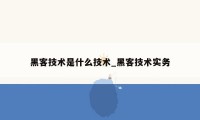 黑客技术是什么技术_黑客技术实务