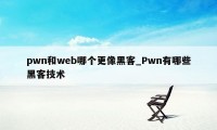 pwn和web哪个更像黑客_Pwn有哪些黑客技术