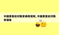 中国黑客应对勒索病毒视频_中国黑客应对勒索病毒