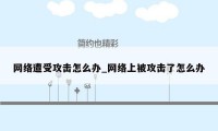 网络遭受攻击怎么办_网络上被攻击了怎么办