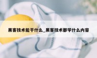 黑客技术能干什么_黑客技术都学什么内容